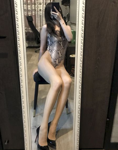 动物新世代