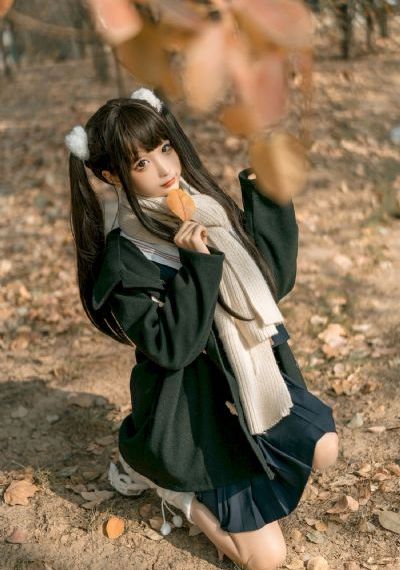 野良与皇女与流浪猫之心