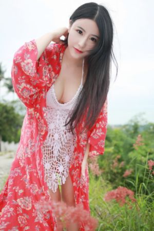 嘉南传