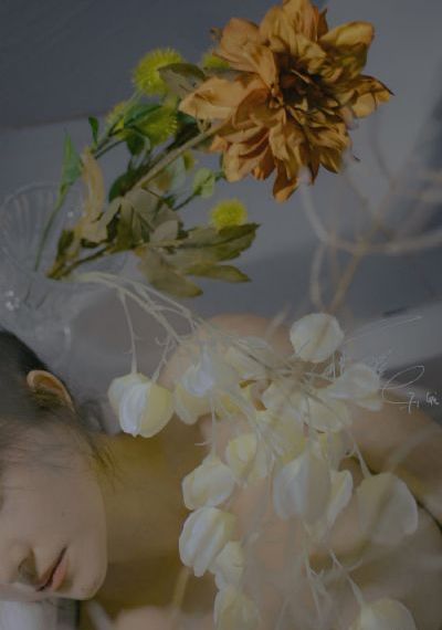 末路狂花钱电影