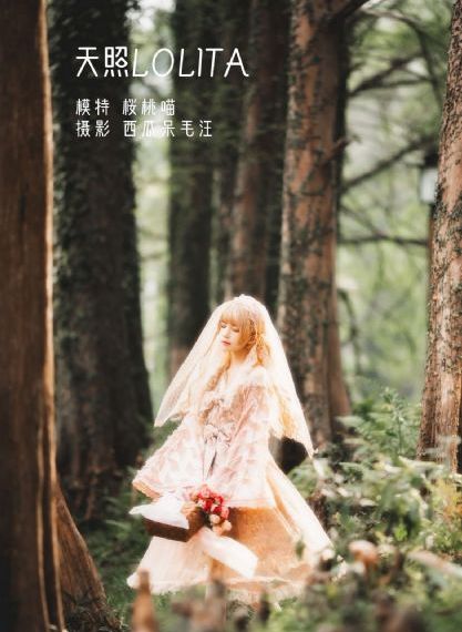 孤城战迷电视剧在线观看全集免费